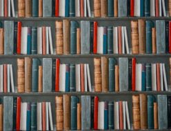 法人名簿を購入できる業者を徹底比較！オススメの会社厳選5選